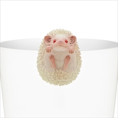 PUTITTO ハリネズミ