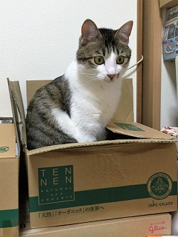 ねとらぼ生物部編集長