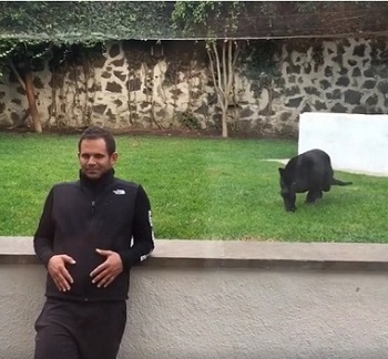 志村クロヒョウ