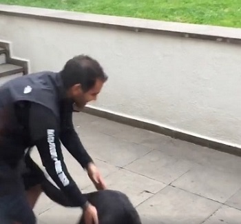 志村クロヒョウ