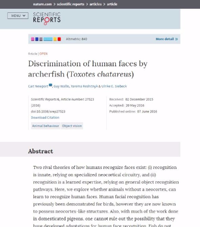 魚 人間の顔 見分ける