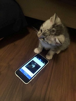 ねとらぼ生物部編集長