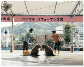 浅田政志「浅田家」シリーズ