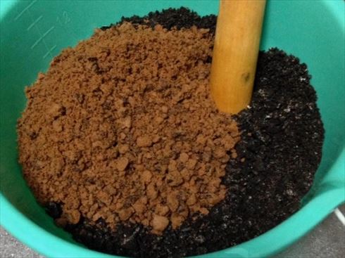 カブトムシ幼虫団子