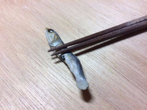 本物に混じってても気付かない……！ 「木彫りの煮干し」が確実に