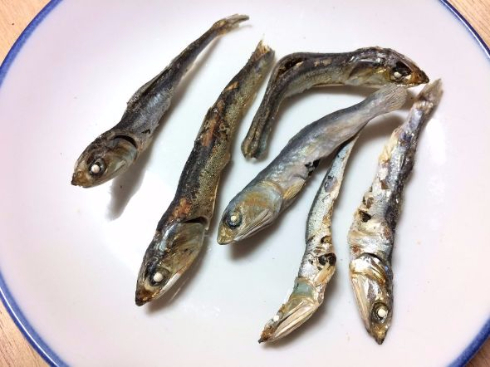 本物に混じってても気付かない……！ 「木彫りの煮干し」が確実に