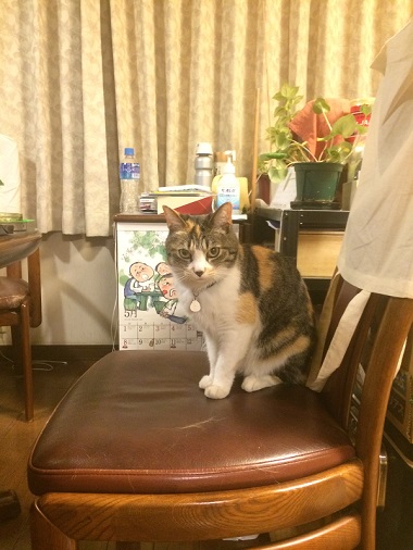 ねとらぼ生物部編集長