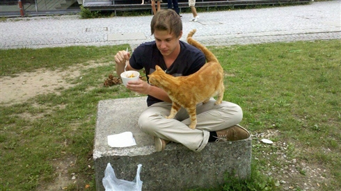 ドイツの大学に出没する「キャンパス・キャット」