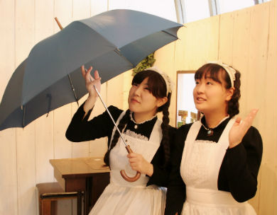 シャッツキステ