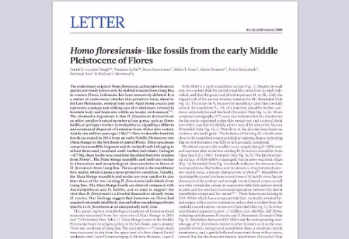 フローレス原人 約70万年前 化石