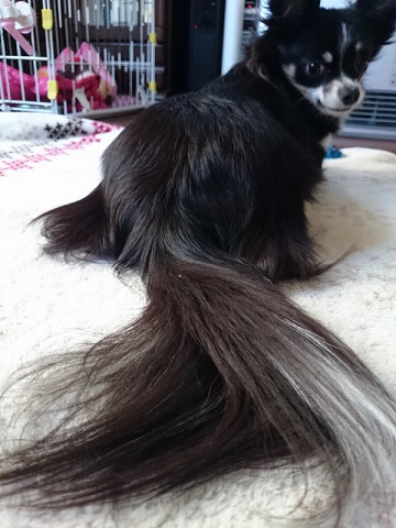 ねとらぼ生物部編集長