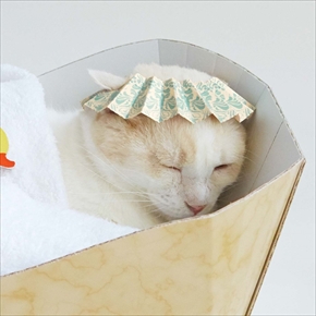 フェリシモ　バスタブ型猫の爪とぎ