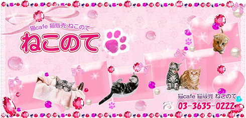 ねこのて