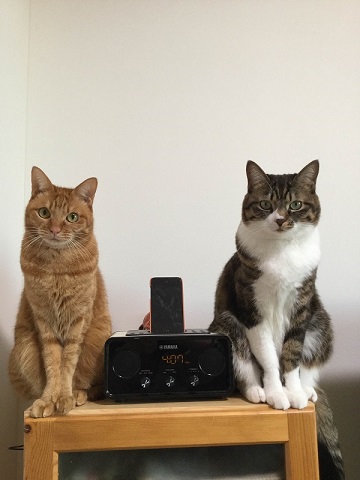 ねとらぼ生物部編集長