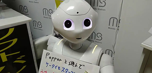 フリーザペッパー