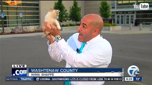 ？？？「ニャーン」　ニュース中継に謎の声が入り込む