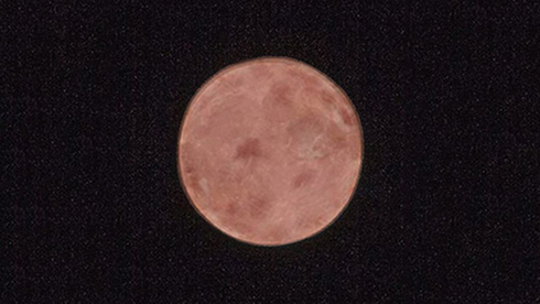 ストロベリームーン