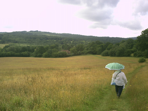 プーさん好きおばあちゃんにほっこり