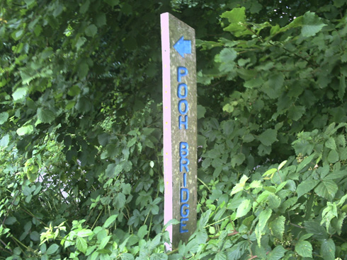 プーさん好きおばあちゃんにほっこり