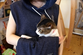 サマーにゃんガルーパーカー