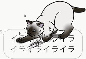 吹き出しに群がる猫