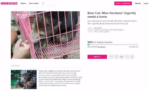 小熊 クラウドファンディング ラオス