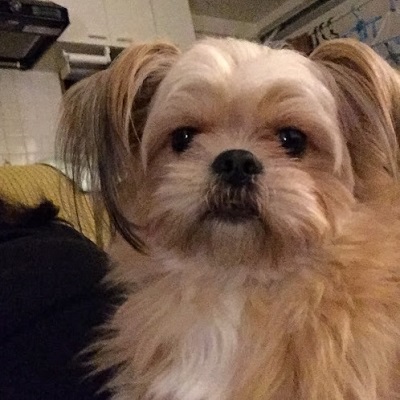 ねとらぼ生物部編集長