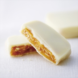 フェリシモ　チョコジェラート