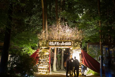 夜空と交差する森の映画祭