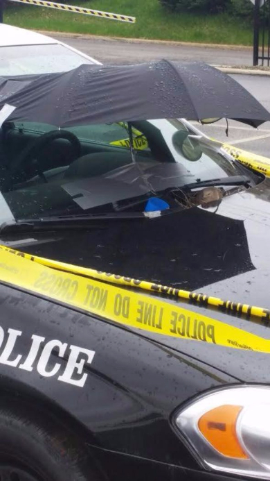 パトカー 鳥の巣