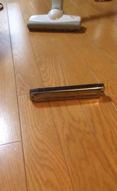 ハーモニカ 掃除機