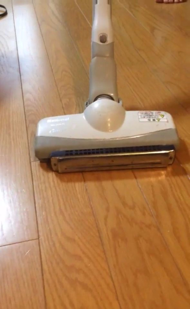 ハーモニカ 掃除機