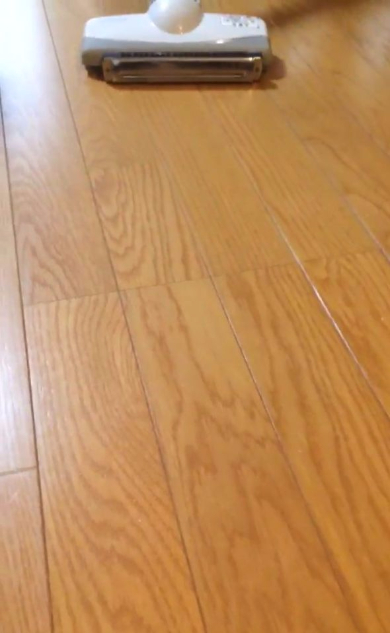 ハーモニカ 掃除機