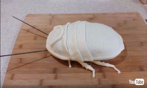 スポンジケーキがゴキブリに