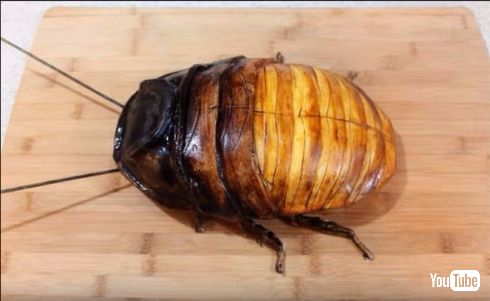 マダガスカルゴキブリ