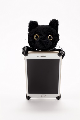 ねこぬいぐるみ