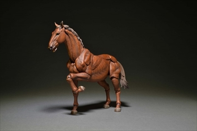 自在置物ヘビケラ