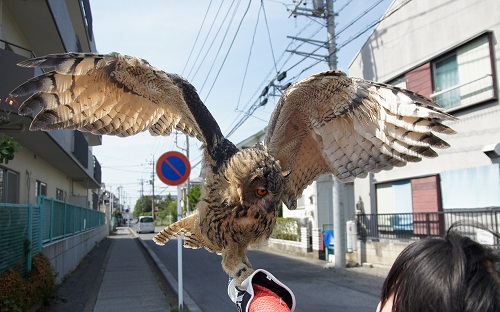 ねとらぼ生物部編集長