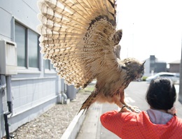 ねとらぼ生物部編集長