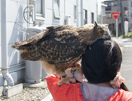 ねとらぼ生物部編集長
