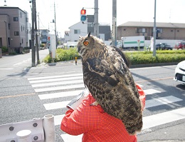 ねとらぼ生物部編集長