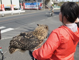 ねとらぼ生物部編集長