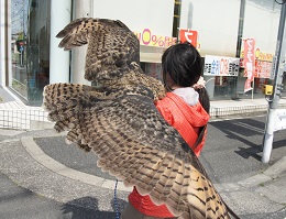 ねとらぼ生物部編集長