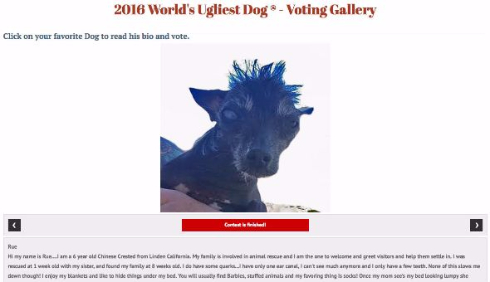 スウィーピー・ランボが優勝