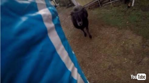 ラムブロくん強い