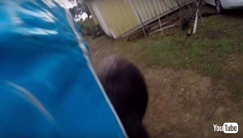 ラムブロくん強い