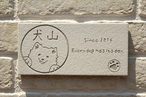 いぬずかん・ワン札