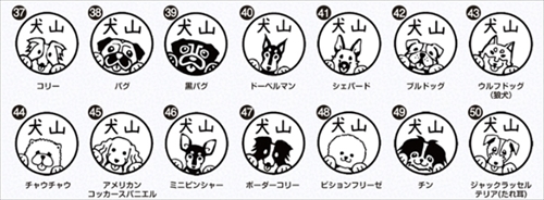 いぬずかん・ワン札