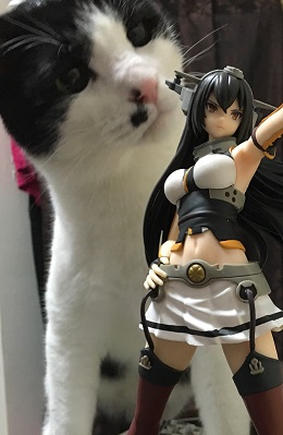 ねとらぼ生物部編集長