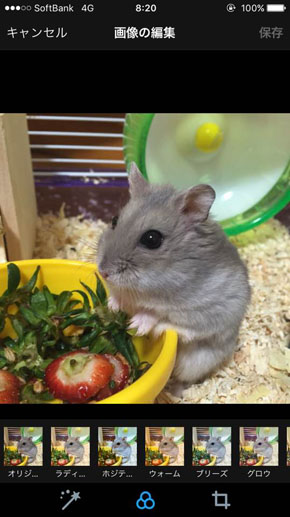 Twitterステッカー